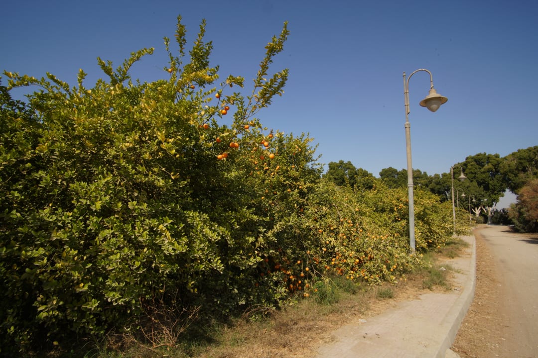 Außenansicht Jolie Ville Kings Island Luxor