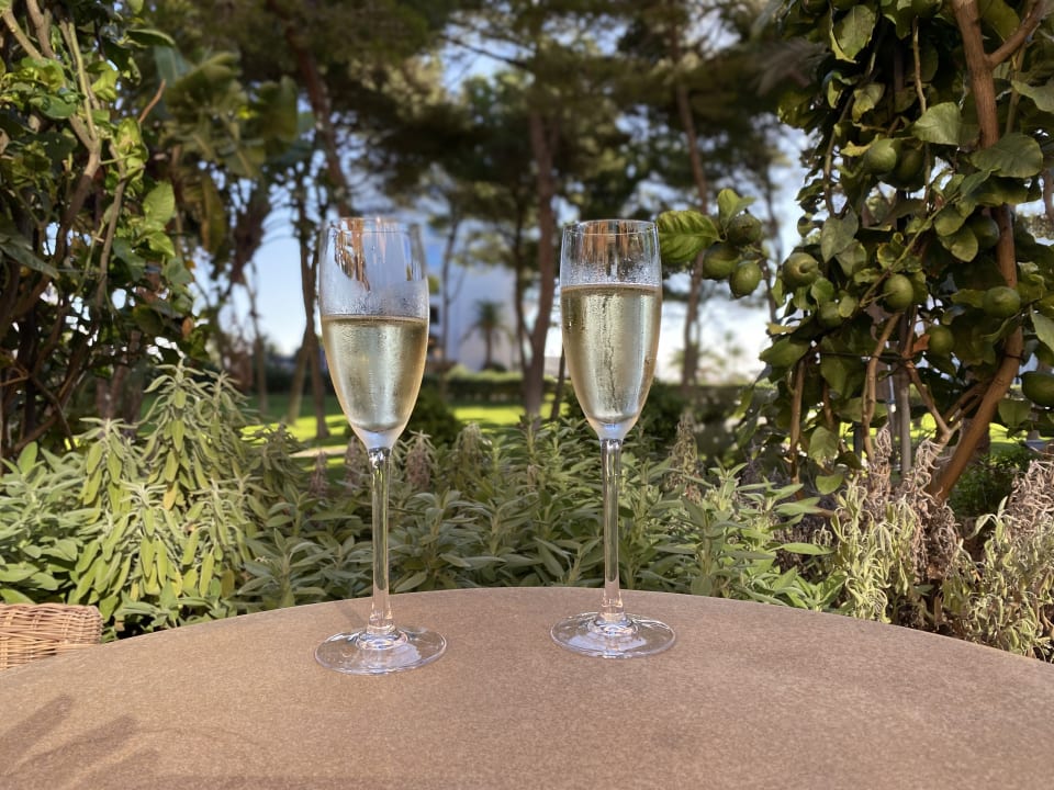 Gastro Hipotels Hipocampo Palace & Spa