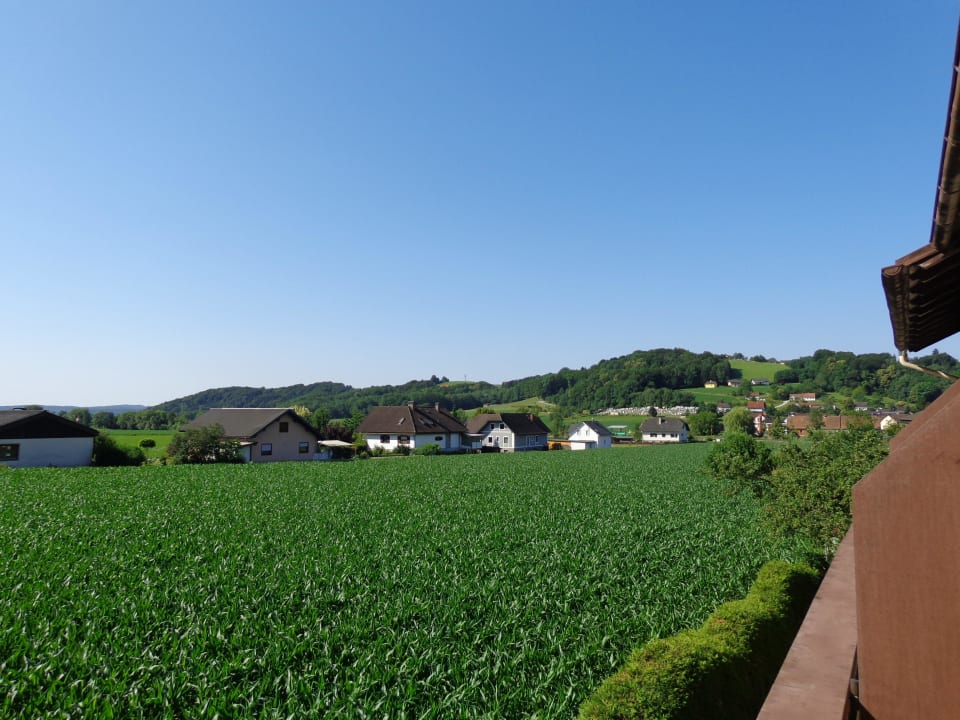 Grün  Malerwinkl Kunsthotel + Restaurant
