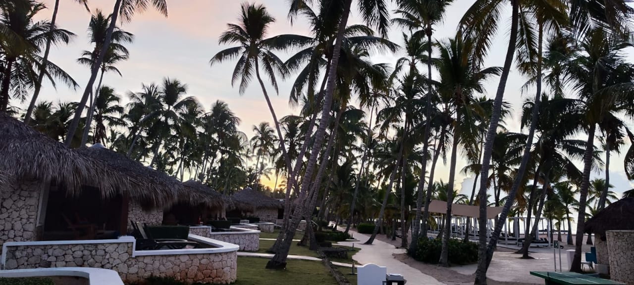 Gartenanlage Hotel Viva Dominicus Beach by Wyndham - All Inclusive Resort