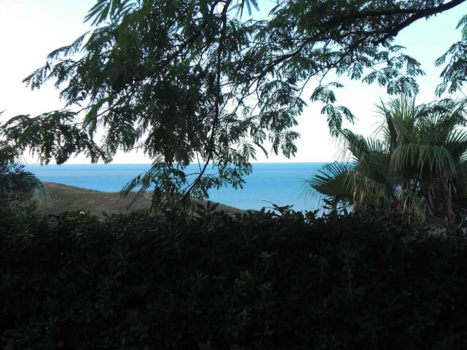 Blick aus der Wohnung Camping Europe Garden