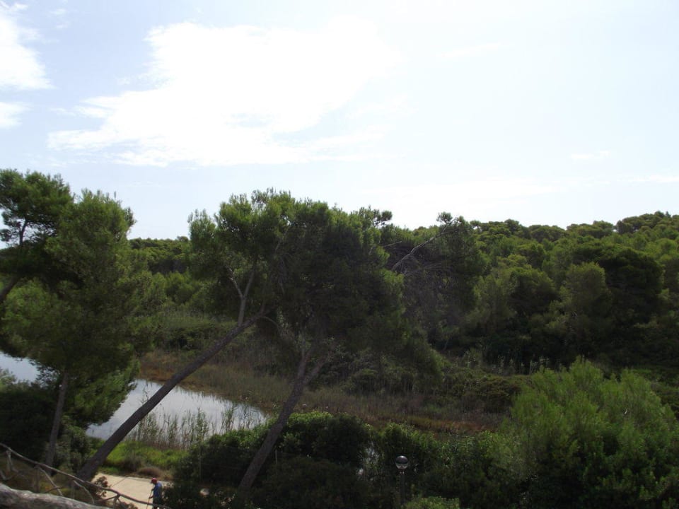 Blick auf das Naturschutzgebiet  Hotel Exagon Park