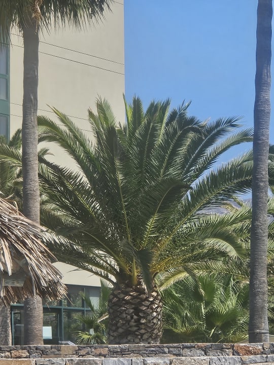 Gartenanlage High Beach Resort