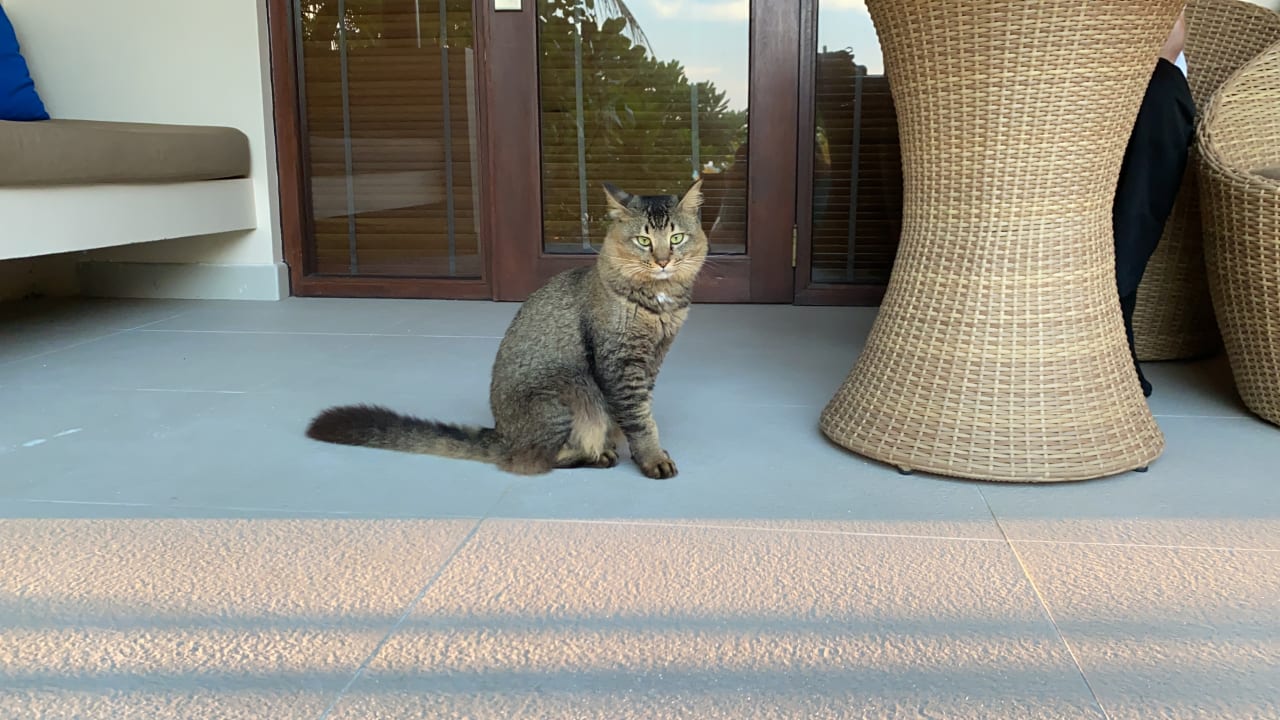 Sonstiges Summer Island Maldives