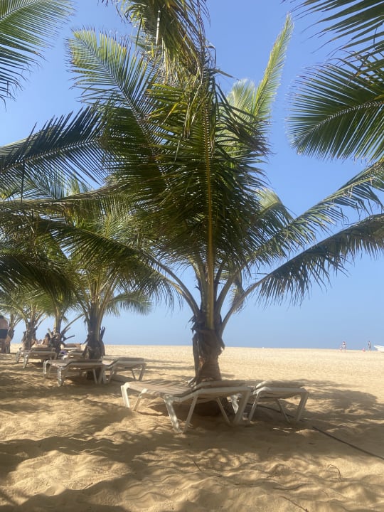 Strand Hotel Riu Touareg