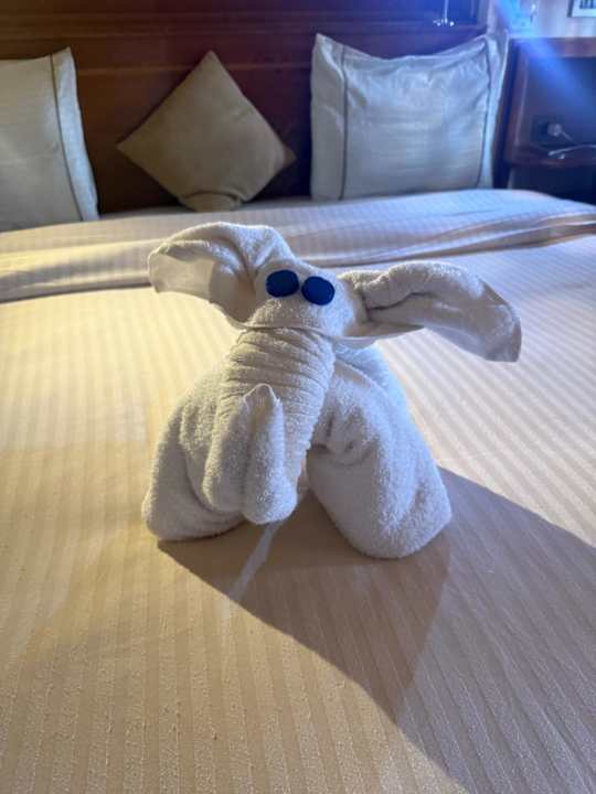 Zimmer Grand Waterworld Makadi & Family Star Makadi