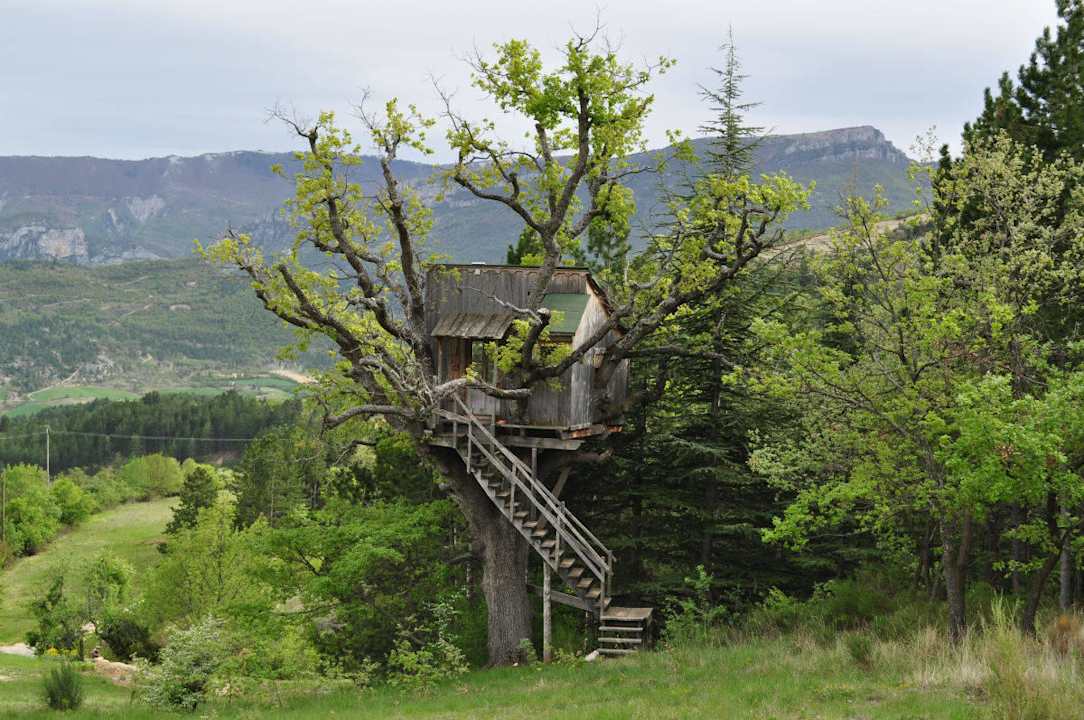 Cabane Perchée Mas du Figuier