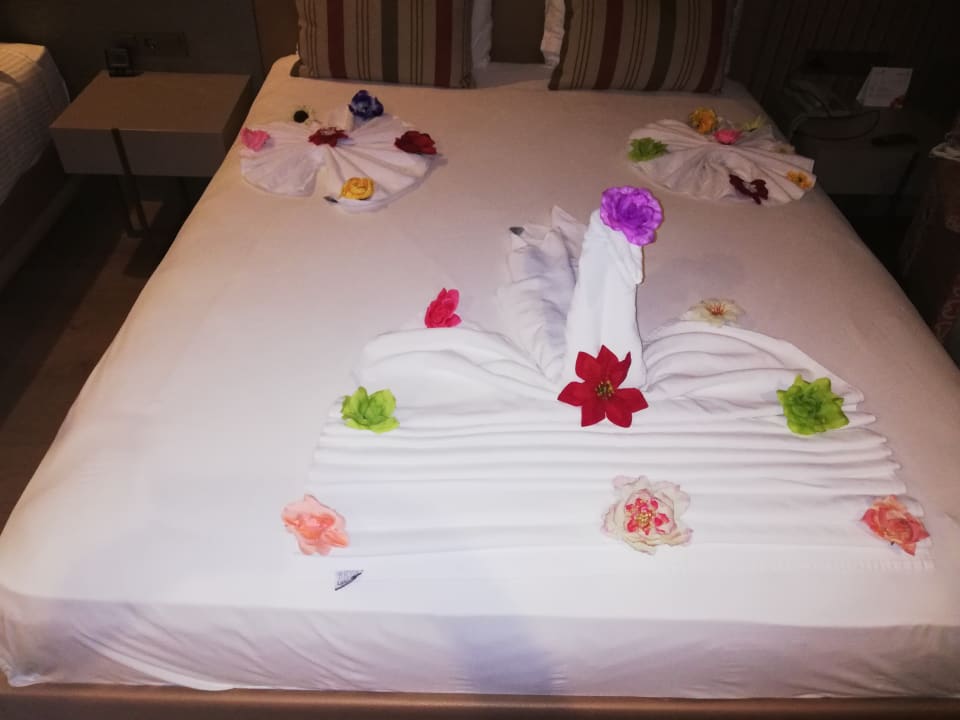 Zimmer Arycanda Kirman Premium