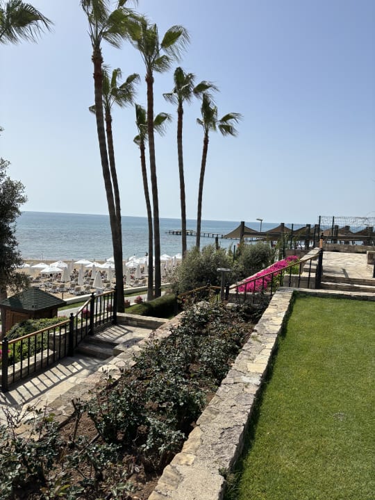 Gartenanlage Arum Barut Collection