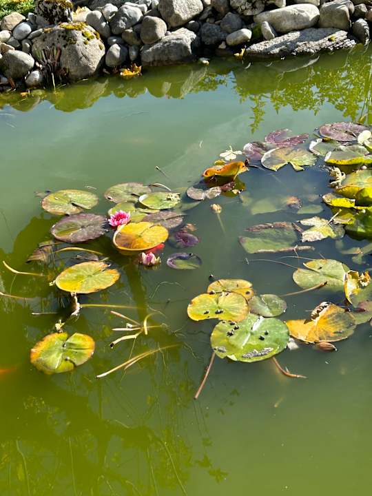 Gartenanlage Revital