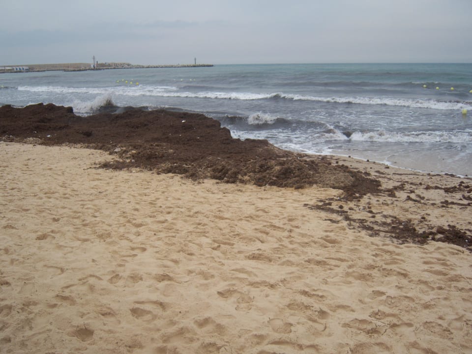 Grauenhafter Gestank Medina Solaria & Thalasso