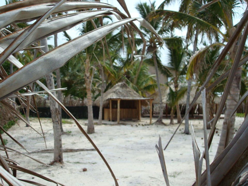 Neue "Maloo Bar" Royalstrand Catalonia Royal Bavaro - Adults only