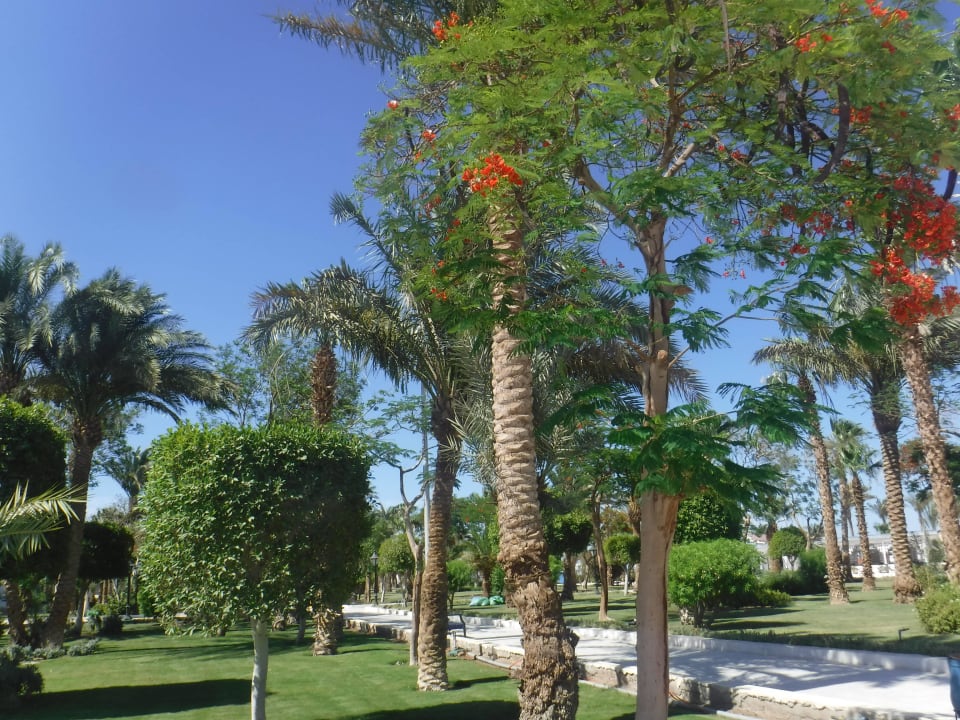 Super The Grand Hotel Hurghada