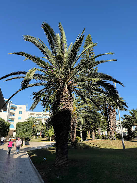 Gartenanlage Sentido Bellevue Park