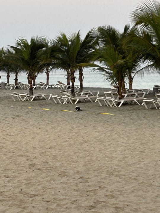 Strand Hotel Riu Karamboa