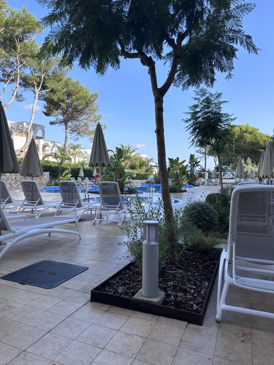 Pool Hipotels Bahía Cala Millor