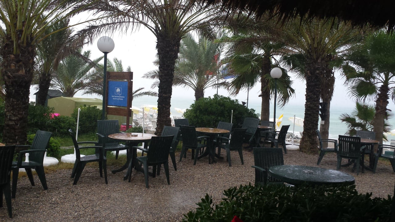 Ausblick zum Meer Hotel Yetkin