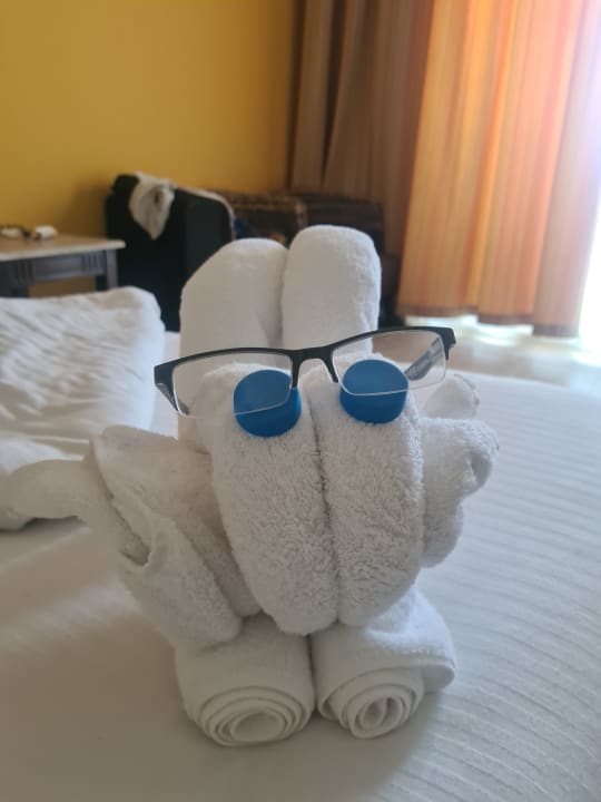 Zimmer Coral Sun Beach