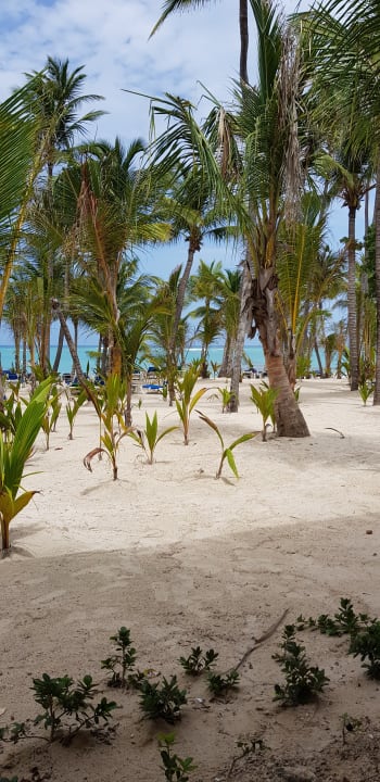 Strand Hotel Riu Palace Punta Cana