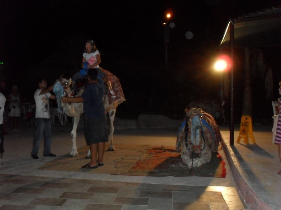 Kamele FUN&SUN Smart Hane Sun Hotel