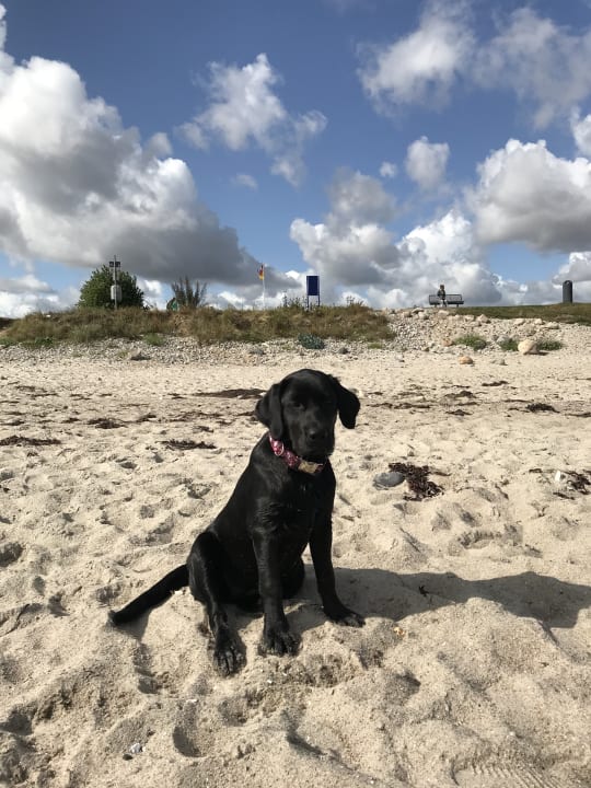 Strand Gut Buckhagen