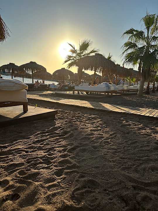 Strand Rubi Platinum Sign