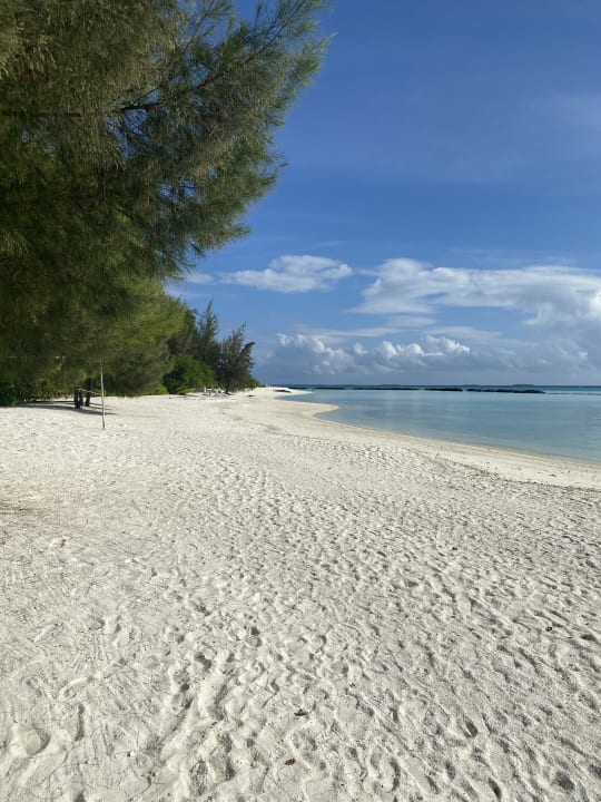 Strand Summer Island Maldives