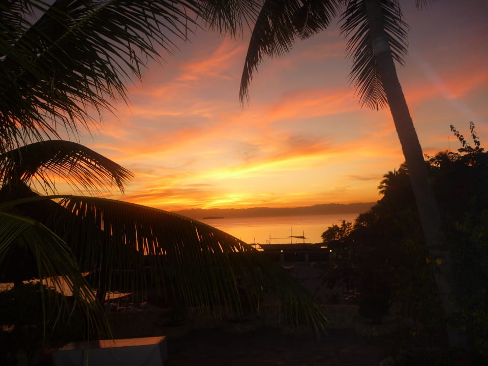 Abendliches Kino Magic Island Dive Resort