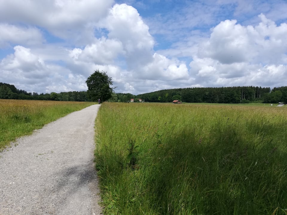 Außenansicht Vitalhotel Sonneck