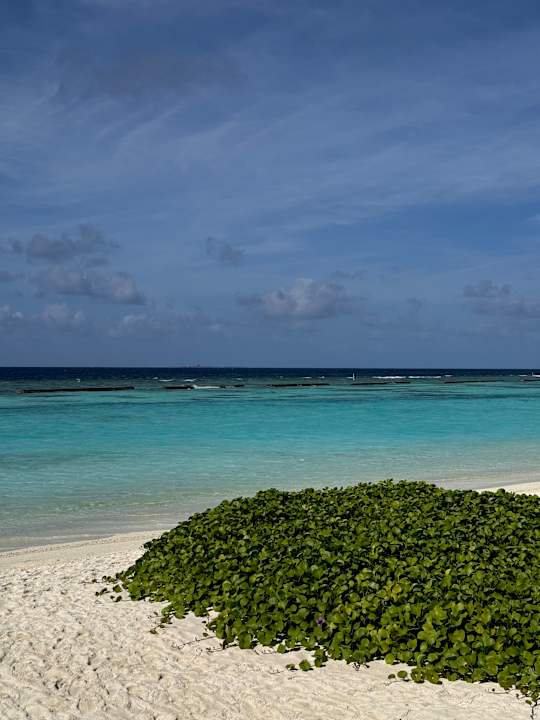 Strand Kuramathi Maldives