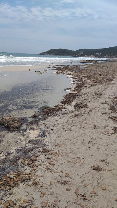 Strand Grand Palladium Select Palace Ibiza