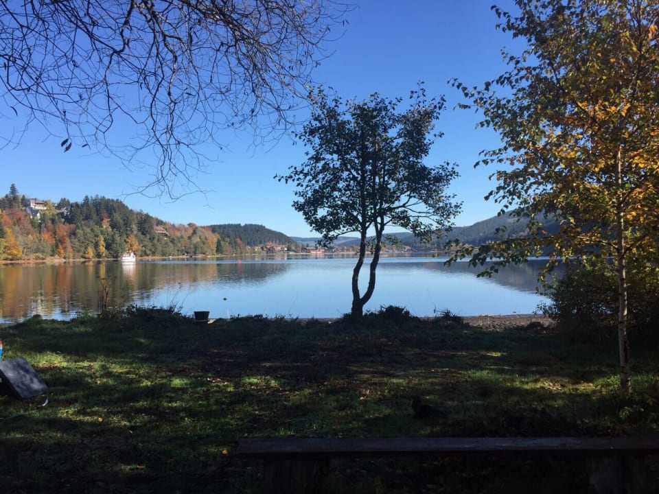 Abendstimmung Naturcamping Weiherhof