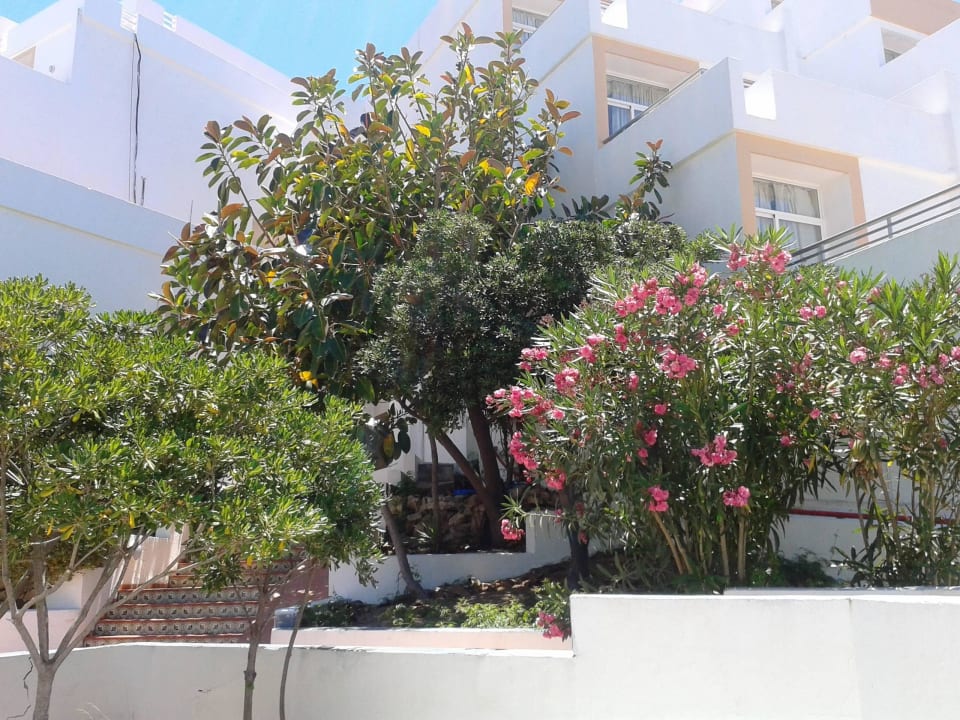 Viele Treppen Barceló Portinatx - Adults only