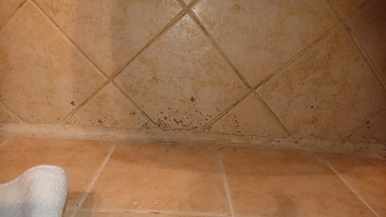 Zimmer Ghazala Gardens