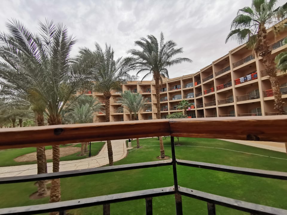 "Junior Suite" Siva Grand Beach (Hurghada) • HolidayCheck (Hurghada
