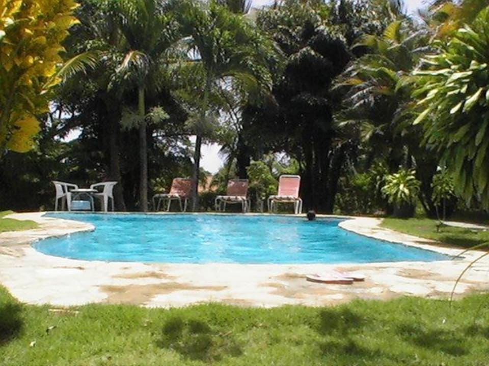 Schwimmen im Pool Hotel B&B Casa Colibri