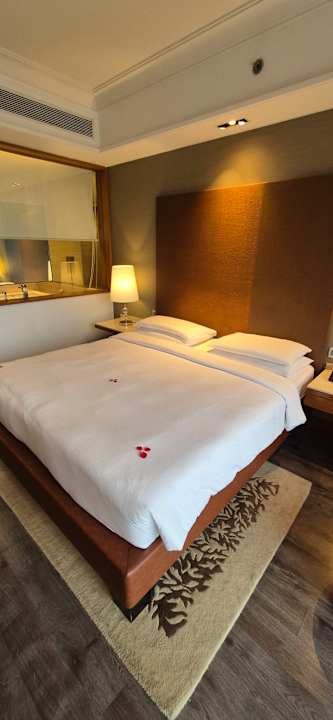 Zimmer Hotel Hyatt Ahmedabad