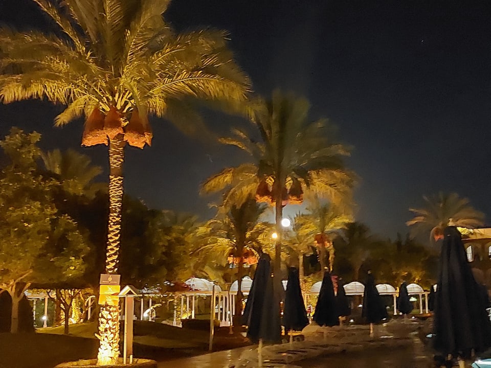 Gartenanlage Desert Rose