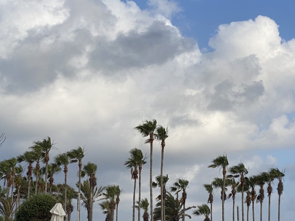 Strand Louis Ledra Beach