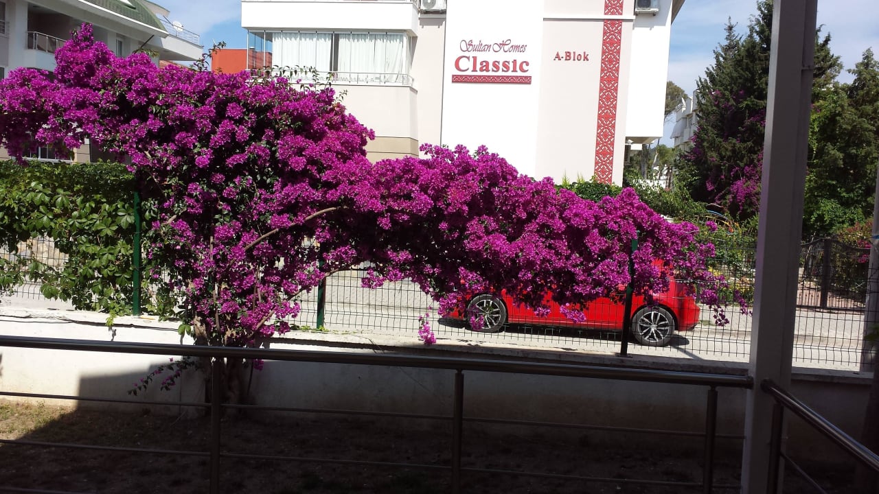 Blick von unserer Terrasse Hotel Felice