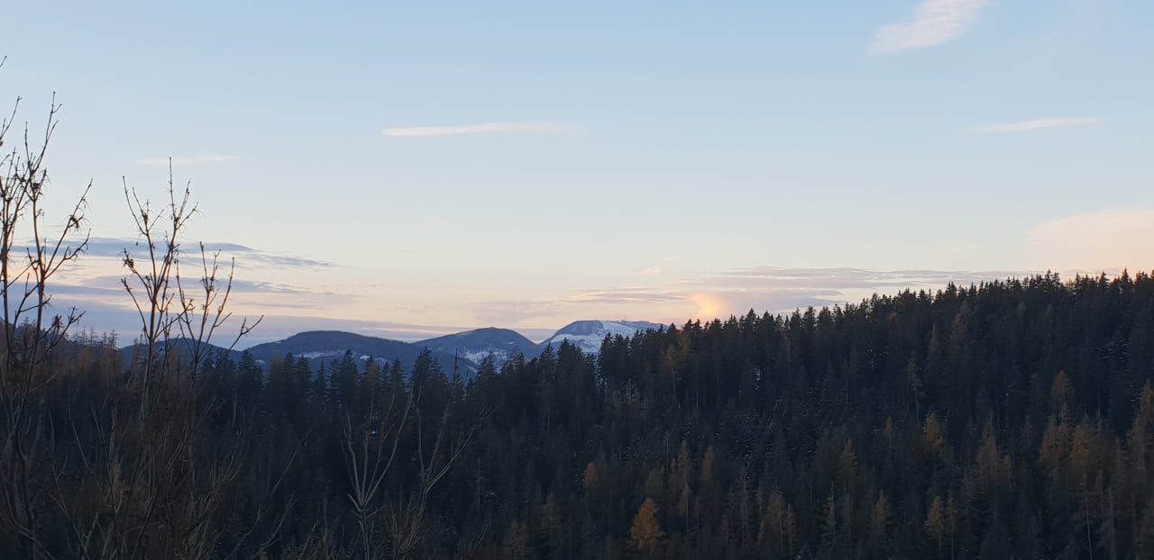 Ausblick Der WILDe EDER