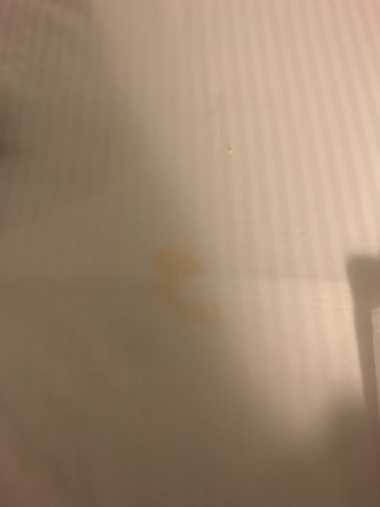 Zimmer Grand Palladium Punta Cana Resort & Spa