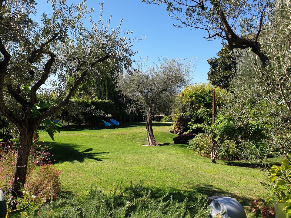 Gartenanlage Hotel Olivi Thermae & Natural Spa