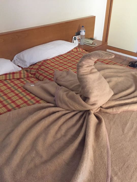 Kreative Gestaltung der Handtücher SBH Club Paraiso Playa