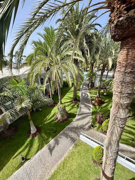 Gartenanlage Hotel Riu Palace Palmeras