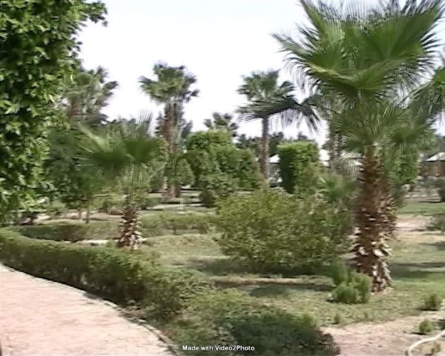 Hotelgarten Lotus Bay Beach Resort