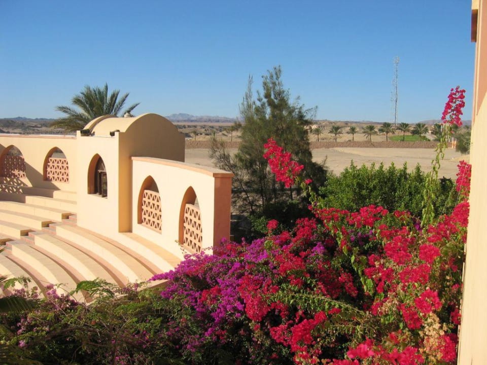 Ausblick Restaurant Steigenberger Coraya Beach - Adults only