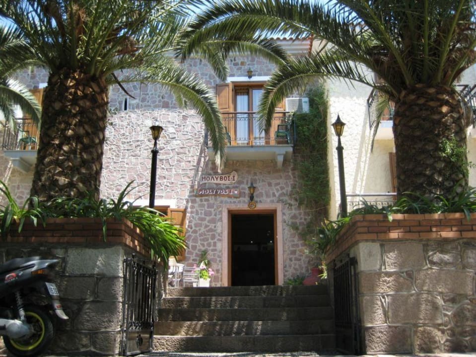 Hotel Eingang Hotel Molivos 1