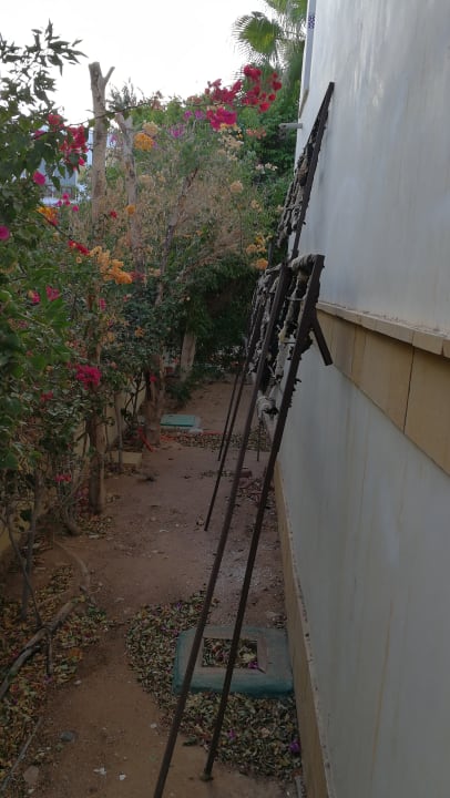 Sonstiges Amphoras Blu