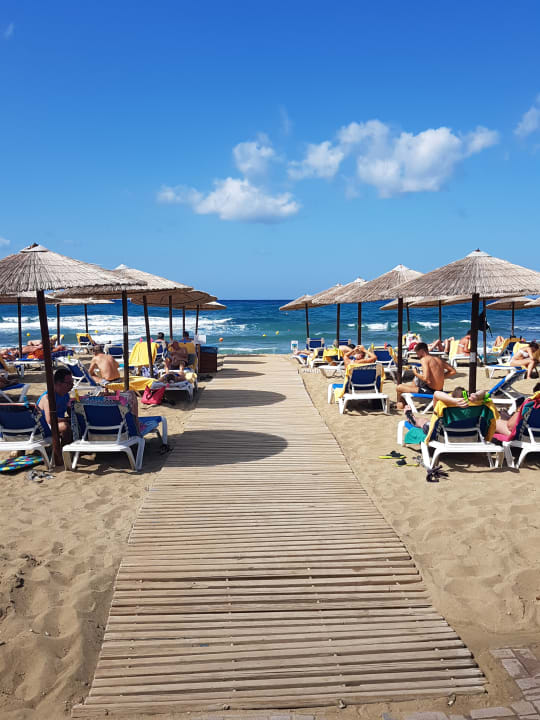 Strand allsun Hotel Carolina Mare